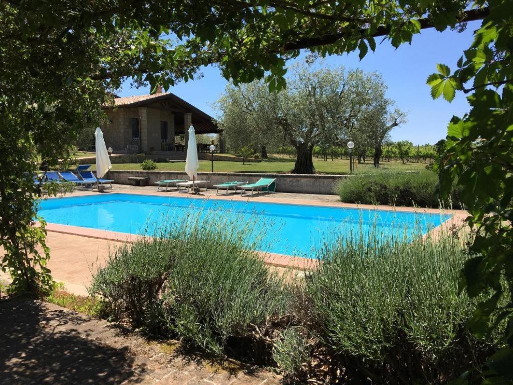 Agriturismo Eco-Bio Villa Vacasio Pitigliano Exterior foto